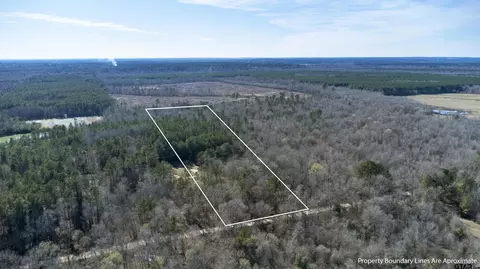 Tr5 18.75 Acres County Rd, Deberry, TX 75639
