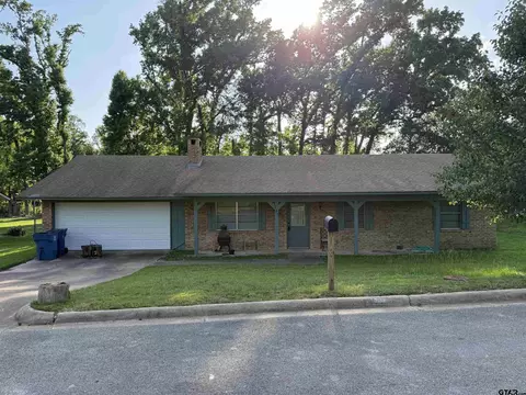 203 N Paradise Dr, Overton, TX 75684