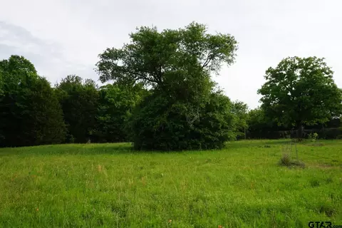 tbd Cr 1200, Malakoff, TX 75148