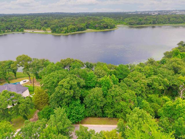 4497 Cascades Shoreline Dr, Tyler, TX 75709