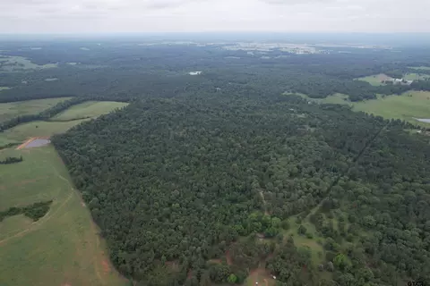 tbd County Road 461, Laneville, TX 75667