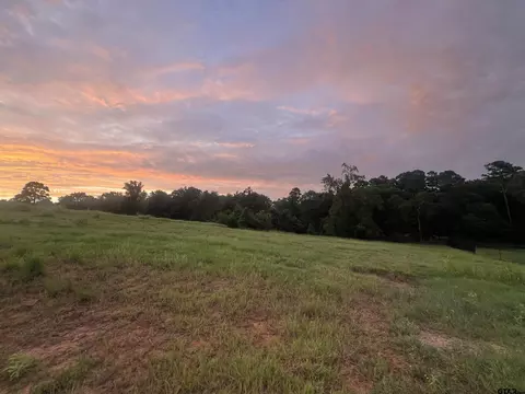 304 Bridle Ridge Ct, Tyler, TX 75703