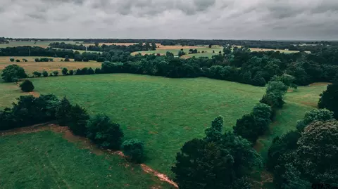 14546 County Road 247, Arp, TX 75750