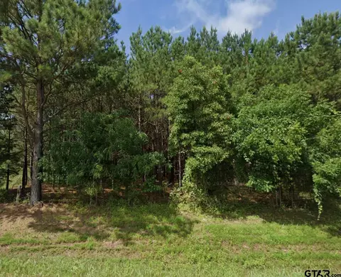 tbd Redbud Dr, Harleton, TX 75651 photo 5