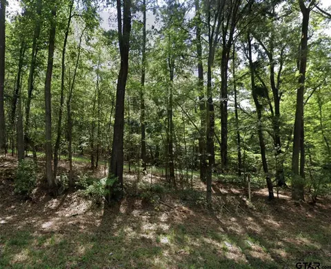 tbd Redbud Dr, Harleton, TX 75651 photo 4
