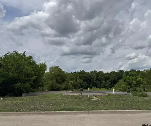 3135 Cascade Ct, Tyler, TX 75703