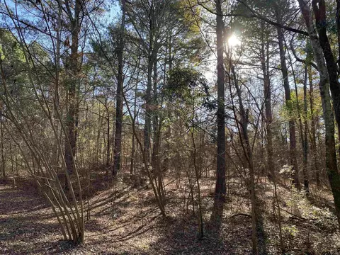 lot11 Carene, Frankston, TX 75763
