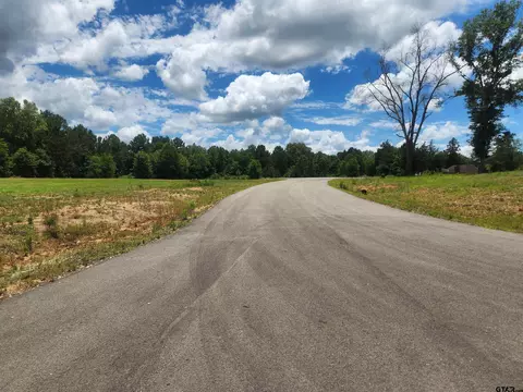 20021 Dews Ct, Troup, TX 75789