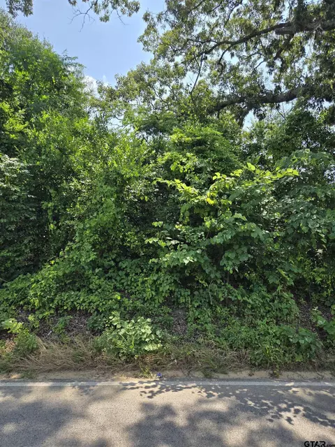 tbd Cr 485, Tyler, TX 75706