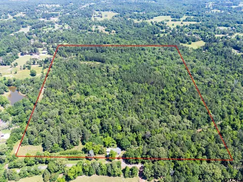 1085 Pyeatt Rd, Gladewater, TX 75647
