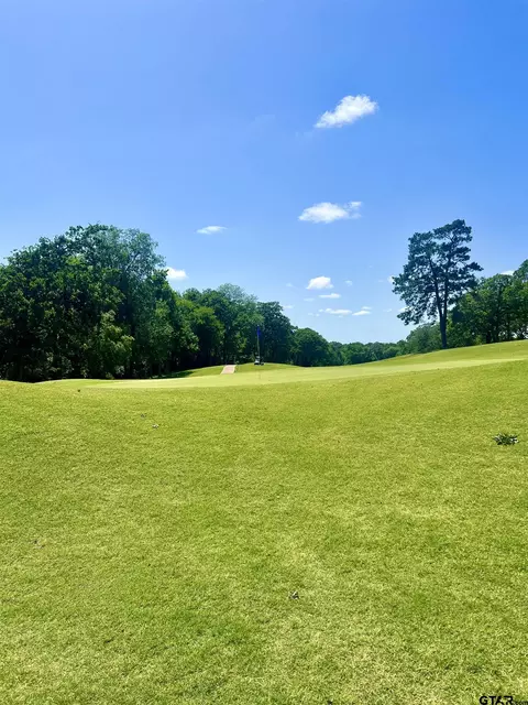 412 Hogan Dr, Tyler, TX 75709