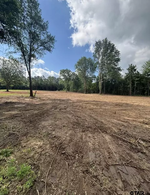 tbd Fm 345 #LOT 2, Arp, TX 75750