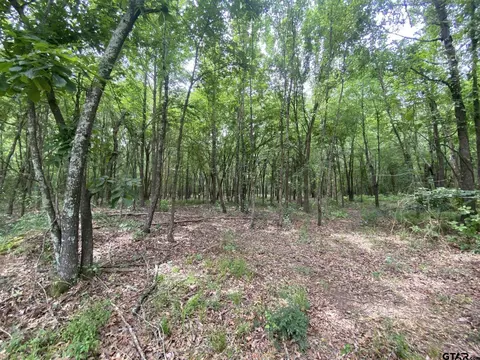 lot10 11 Cr 3920, Mount Pleasant, TX 75455