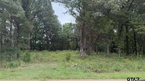 13676 County Road 420, Tyler, TX 75704