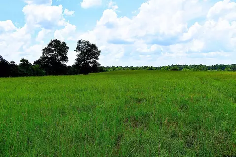 8034 Cr 212, Buffalo, TX 75831