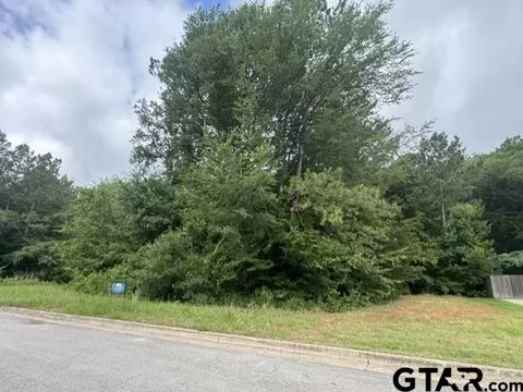 9469 Cherokee Trl, Tyler, TX 75703