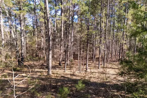 tbd E Loop 564, Mineola, TX 75773 photo 8
