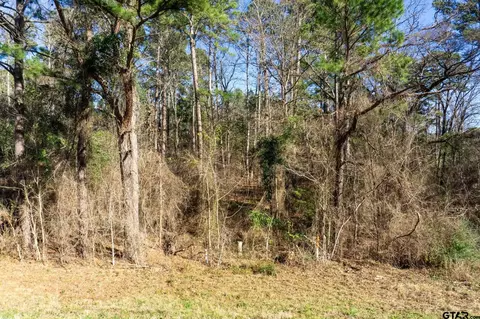 tbd E Loop 564, Mineola, TX 75773 photo 9