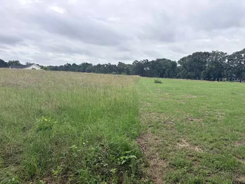 tbd Lot 2 County Road 401, Henderson, TX 75654