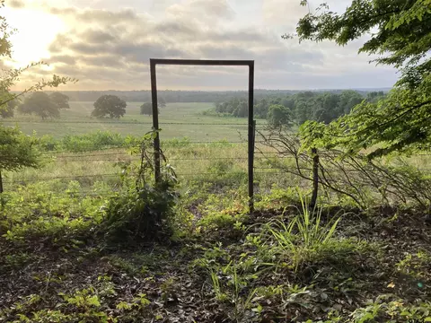 2721 Vz County Road 4707, Ben Wheeler, TX 75754