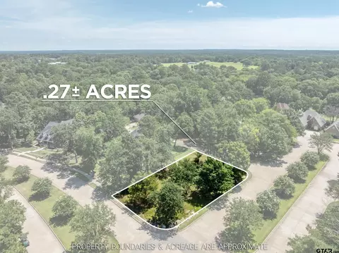 137 Eagles Bluff Blvd S, Bullard, TX 75757