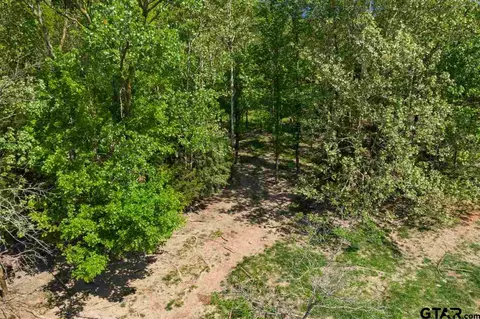 tbd Fm 1734, Mount Pleasant, TX 75455 photo 38