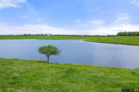 tbd Fm 1734, Mount Pleasant, TX 75455 photo 20