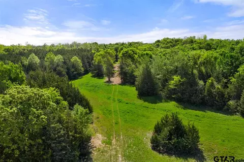 tbd Fm 1734, Mount Pleasant, TX 75455 photo 39