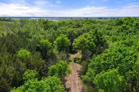 tbd Fm 1734, Mount Pleasant, TX 75455 photo 40