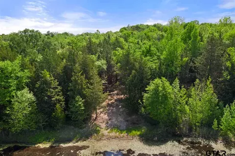 tbd Fm 1734, Mount Pleasant, TX 75455 photo 37