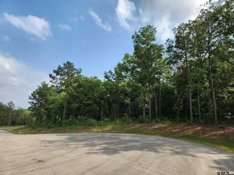 3281 Shadow Pine Dr, Larue, TX 75770