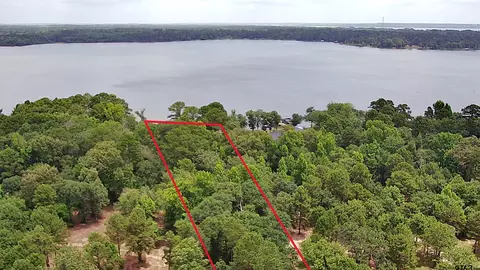 3156 Shadow Pine Dr, Larue, TX 75770