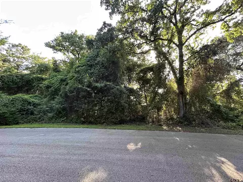 0 Lookout Lake Cir, Flint, TX 75762