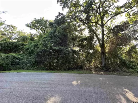 0 Lookout Lake Cir, Flint, TX 75762