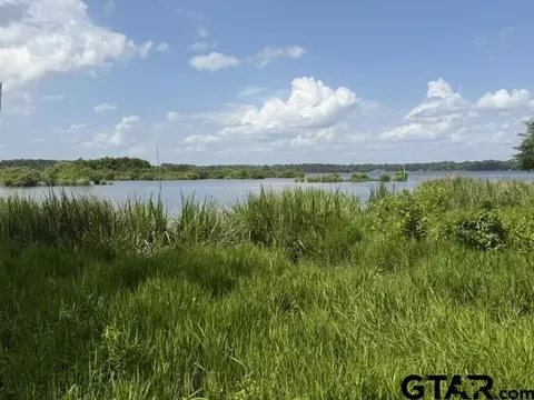 3196 Shadow Pine Dr, Larue, TX 75770