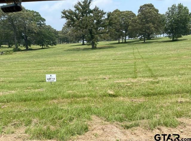 lot11 Tbd Private Road 3398, Big Sandy, TX 75755