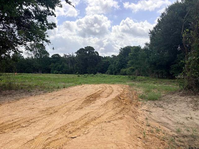 10268 N Fm 607, Brownsboro, TX 75756