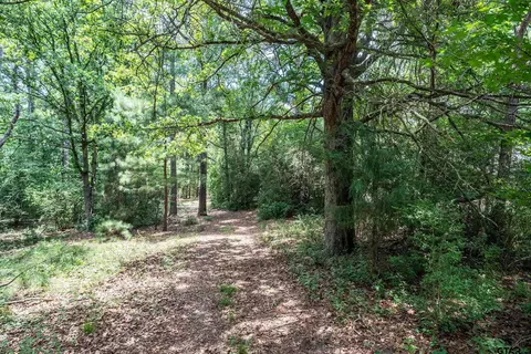 tbd Holly Trl E, Holly Lake Ranch, TX 75765