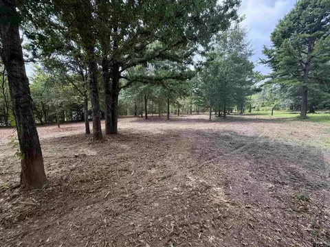 142 Sandy Ln, Bullard, TX 75757