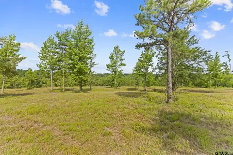 tbd County Road 4112 #LOT 3, Lindale, TX 75771