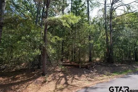 lot48 Angelina St, Mount Vernon, TX 75457