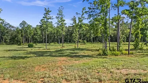 15810 Aniston Ln, Flint, TX 75762