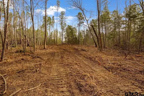 19427 County Road 2153, Troup, TX 75789