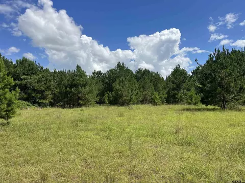 tbd S Cr 218d, Henderson, TX 75652
