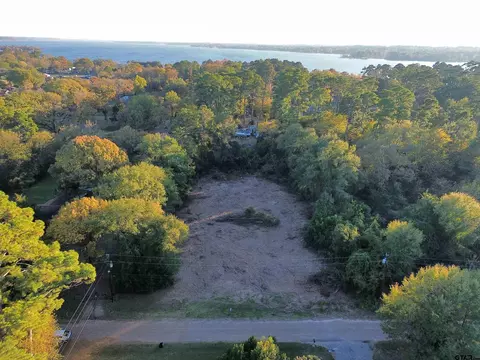 21194 Sylvan Ln, Chandler, TX 75758