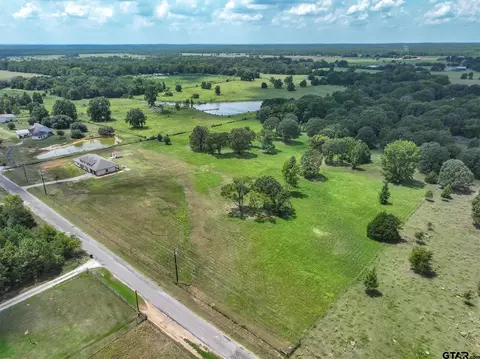 lot1 Vz County Road 4607, Ben Wheeler, TX 75754