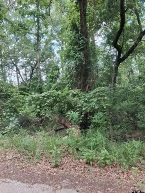 tbd Dogwood Dr, Murchison, TX 75778