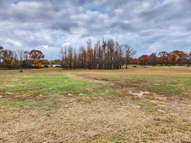 lot23 Cr 2230, Mineola, TX 75773