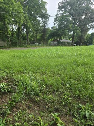 800 Webb, Daingerfield, TX 75638