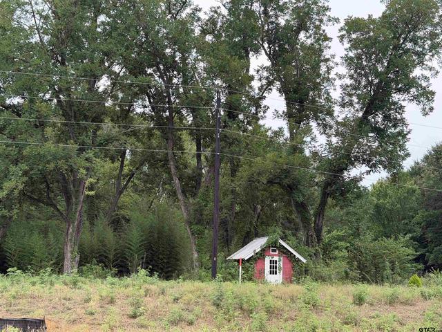 18171 Fm 16 Lot #7, Lindale, TX 75771